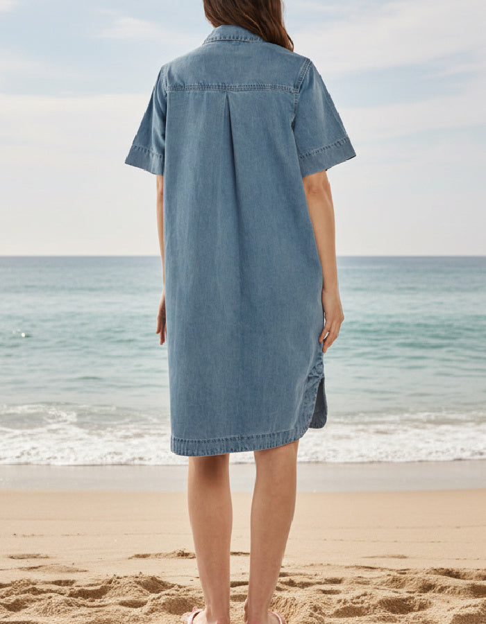 Betty Basics Dawson Denim Dress