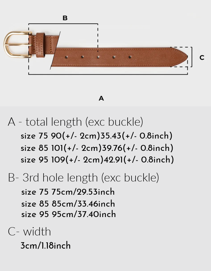 Billy Belt Leather Belt in Brown