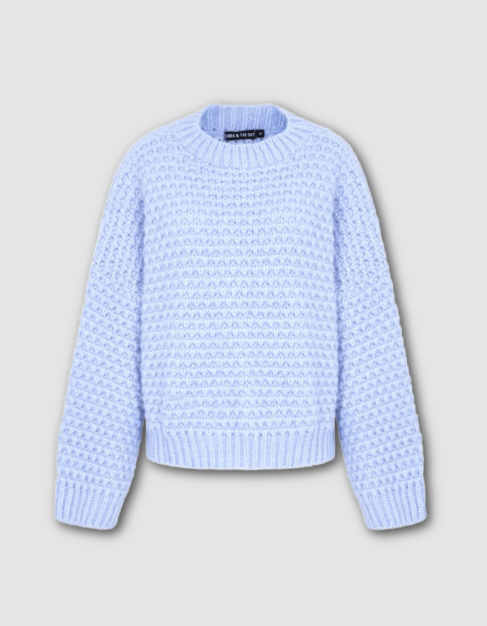 Cara & the Sky Darwin Jumper in Powder Blue