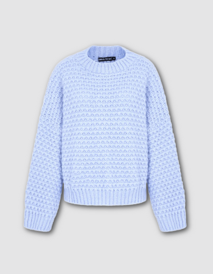 Cara & the Sky Darwin Jumper in Powder Blue
