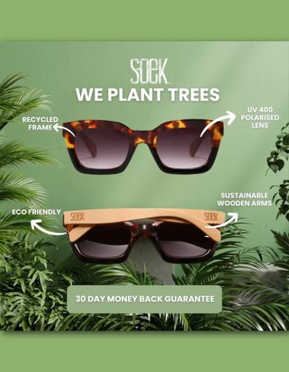 Two pairs of Soek sunglasses are shown on a green promotional background with tropical leaves and text callouts about recycled frame, UV 400 polarised lens, eco-friendly, sustainable wooden arms, and a 30 day money back guarantee.