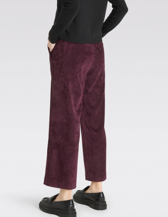 Person wearing maroon velvet pants on a white background