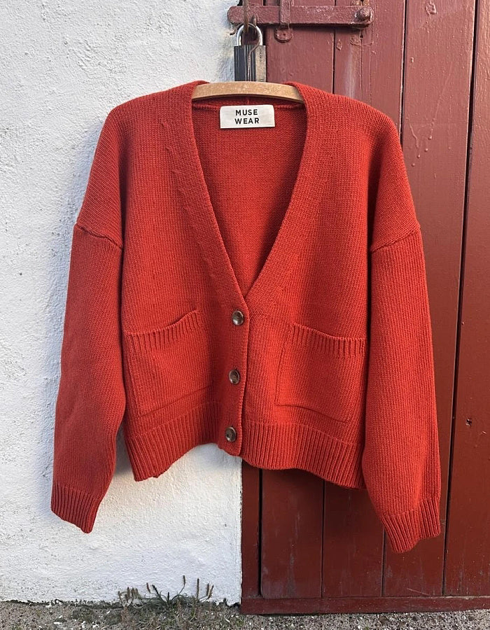 A rust-orange knit cardigan sweater hanging on a wooden hanger against a split white stucco wall and dark red wooden door. The cardigan features a V-neck, three front buttons, dropped shoulders, and two front patch pockets.