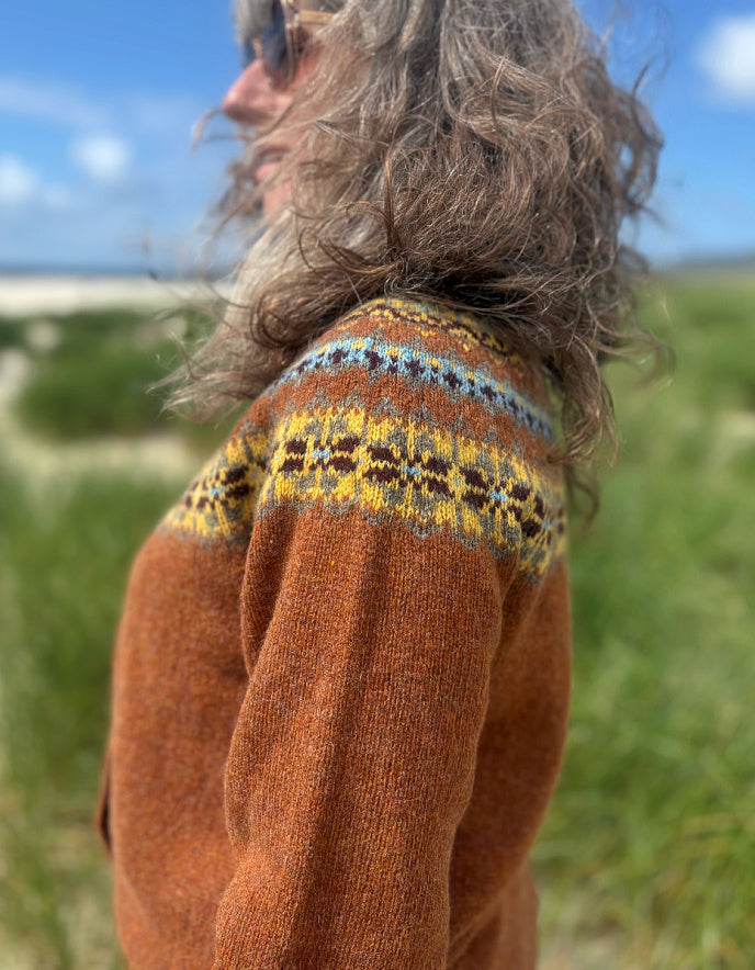 A person outdoors wearing a brown knit sweater with a colorful patterned yoke. The background shows a blurred grassy field and blue sky.