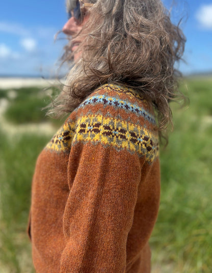 A person outdoors wearing a brown knit sweater with a colorful patterned yoke. The background shows a blurred grassy field and blue sky.